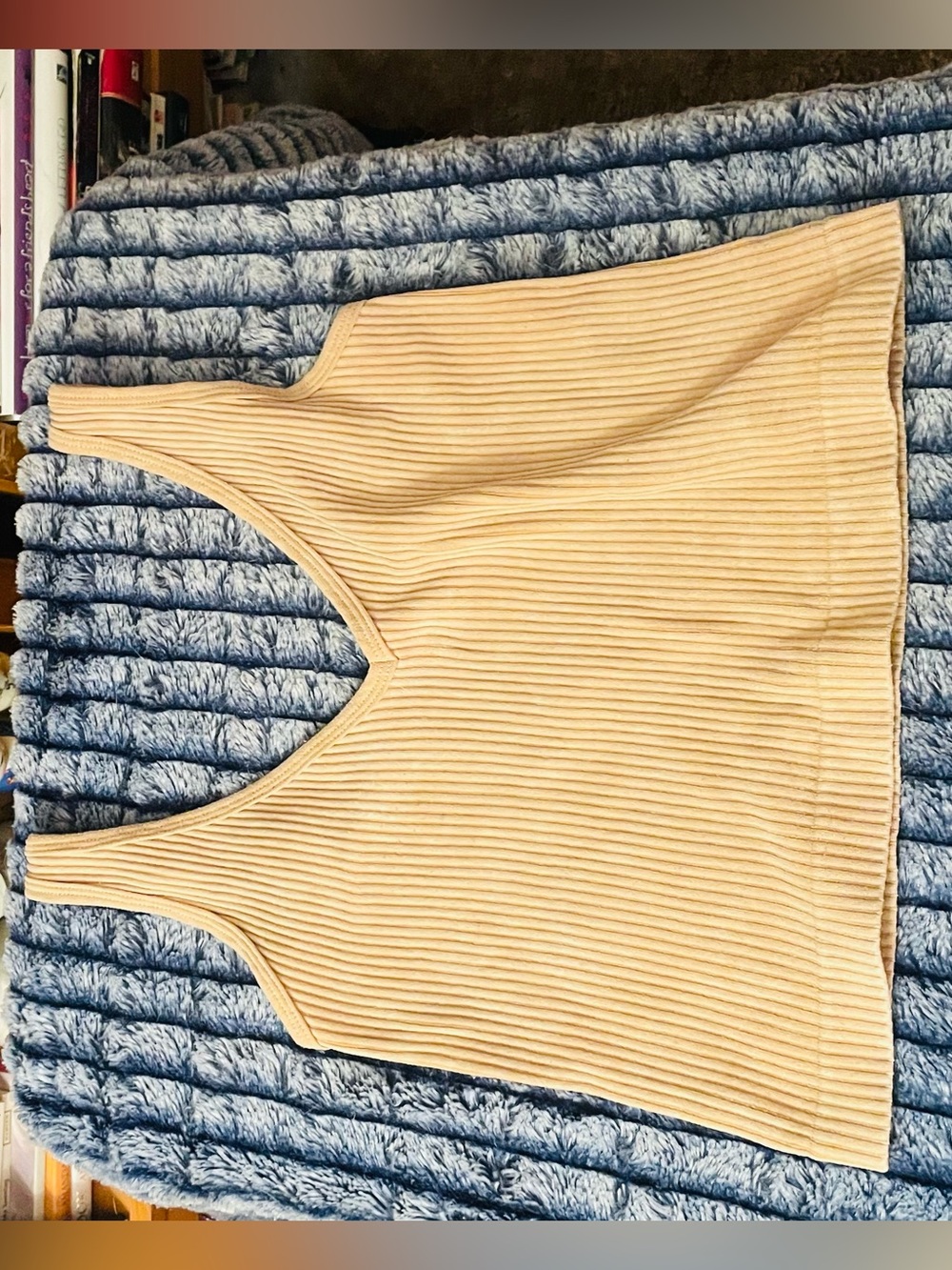 Aura Ribbed Tank Top in Light Beige